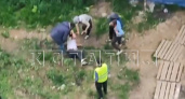 На стройке в Нижнем Новгороде произошла массовая драка