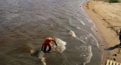 Спасатели вытащили тело девушки из реки в Нижнем Новгороде