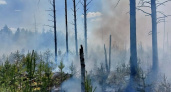 Пожар в Керженском заповеднике потушили на третьи сутки