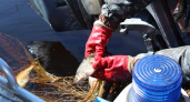 Штрафы больше не грозят: для нижегородских рыбаков сняли важный запрет