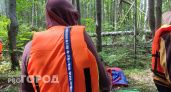 Жителя Москвы ждет наказание за охоту в нижегородских лесах