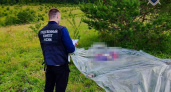 Подозреваемого в убийстве женщины в лесу задержали в Починковском районе 
