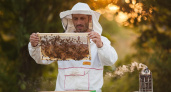Нижегородская семья переехала из мегаполиса в деревню и стала разводить пчел