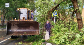 Упавшие во время грозы деревья перекрыли движение на некоторых улицах в Нижнем Новгороде