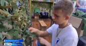 Починковский школьник отвозит в зону СВО сделанные им окопные свечи и маскировочные сети