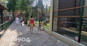 Нижегородские школьники смогут бесплатно посетить зоопарк