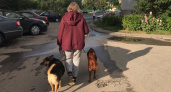 В Автозаводском парке бесплатно покажут, как правильно дрессировать собаку