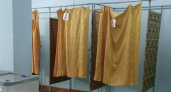 В Нижегородской области заставляли дистанционно голосовать на выборах