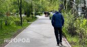 Школьник из Нижнего Новгорода оставил семью без бриллиантов и миллионов, выйдя на прогулку