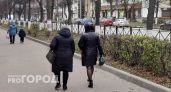 Мать и дочь из Нижнего Новгорода устроили семейный бизнес, присваивая чужие дачи