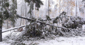 Снежная буря в Нижегородской области за день оставила более 400 населенных пунктов без света