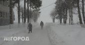 Метель или обледенение: какая погода установится в Нижегородской области к выходным