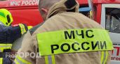 Пожар в Починковском районе унес жизнь одного человека
