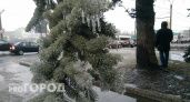 МЧС: в Нижегородскую область идет ледяной дождь
