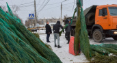 В Нижнем Новгороде накрыли точки, где нелегально торговали елками