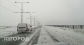 На Нижегородскую область надвигается буря: МЧС выпустило срочно предупреждение