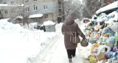 "Вчера не вывозили, позавчера": мусорный апокалипсис пришел во дворы Нижнего Новгорода