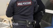 В Дзержинске грабители сыграли в "копов", но настоящие полицейские не оценили их актерство