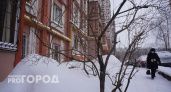 Легкий снегопад днем и мороз до -26 ночью: как пройдут выходные в Нижегородской области