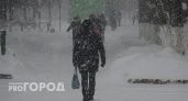 Снегопады в Нижегородской области: узнайте, как снег изменит ваш выходной