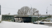 Мост с крокодилом переживет реконструкцию в Нижнем Новгороде 