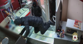 Неизвестные ограбили ювелирный магазин в Богородске на 4 миллиона рублей