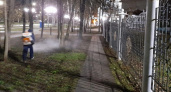Парки Нижнего Новгорода начали обрабатывать от клещей: куда не пустят посетителей