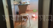 "Была хорошая нормальная женщина": экс-директор магазина в Арзамасе жжет костры на полу у себя дома