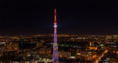 Нижегородская телебашня подсветится в честь саммита БРИКС