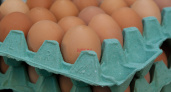 Врачи бьют тревогу: яйца могут стать причиной серьезных заболеваний