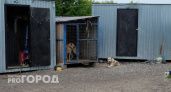 В Нижегородской области нашли новые случаи бешенства у домашних животных