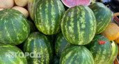 Поплатитесь здоровьем: ни за что не покупайте арбузы и дыни в начале июля
