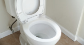 Победа над запахом и налетом одним ударом: этот метод заставит ваш туалет благоухать как новый