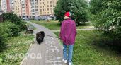 Россиян будут штрафовать на сумму до 10 тысяч рублей, если они не убирают за своей собакой на улице