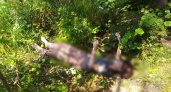 Тело женщины извлекли из Сормовского озера в Нижнем Новгороде 