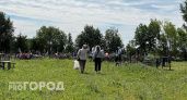Жительницу Павлова привлекли к ответственности за кражу на кладбище двухлетней давности