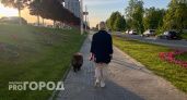Пасмурное прохладное утро и теплый день: что готовит погода для нижегородцев на завтра