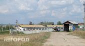 Более 20 сельхозрабочих в Нижегородской области месяцами сидели без зарплаты