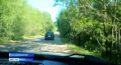 Жители поселка в Нижегородской области оказались отрезаны от мира из-за дороги, забытой на 40 лет