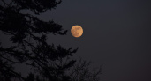 "Что должно уйти – уйдет": россиянам рассказали, как пережить полнолуние 21 июля без потерь 