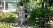 Две жительницы Кстова сдали детей в детский дом, но получали пособия по уходу за ними 