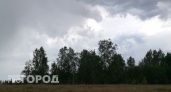 Дожди и грозы не покинут Нижегородскую область: прогноз погоды на завтра