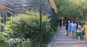 Нижегородских школьников бесплатно пустят посмотреть на животных