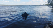 Рыбалка закончилась трагедией: водолазы МЧС подняли тело рыбака в Нижегородской области