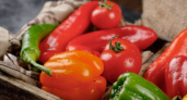 Приготовьте перец на зиму за 15 минут: гости вмиг сметут со стола вкусную и пикантную заготовку