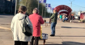 Коснется каждого неработающего россиянина в ноябре: Голикова анонсировала указ, который кардинально изменит их жизни 