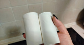 Втулки от туалетной бумаги выпрашиваю у соседей: вот как их использую — незаменимая вещь для решения множества проблем