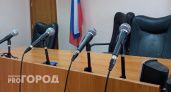 В Борском районе осудили мужчину за стрельбу из пневматики по 9-летнему мальчику