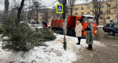 В Нижнем Новгороде нашли более 200 незаконных елок