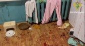 Житель Балахны убил свою жену и полуторагодовалую дочь